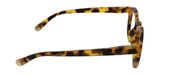 Peepers "Stardust"- Tortoise