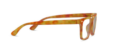 Peepers "Jude" - Amber Tortoise