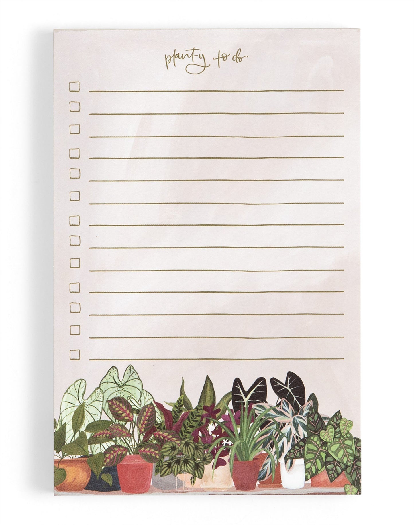 1 Canoe 2 "Planty To Do" Houseplants Notepad