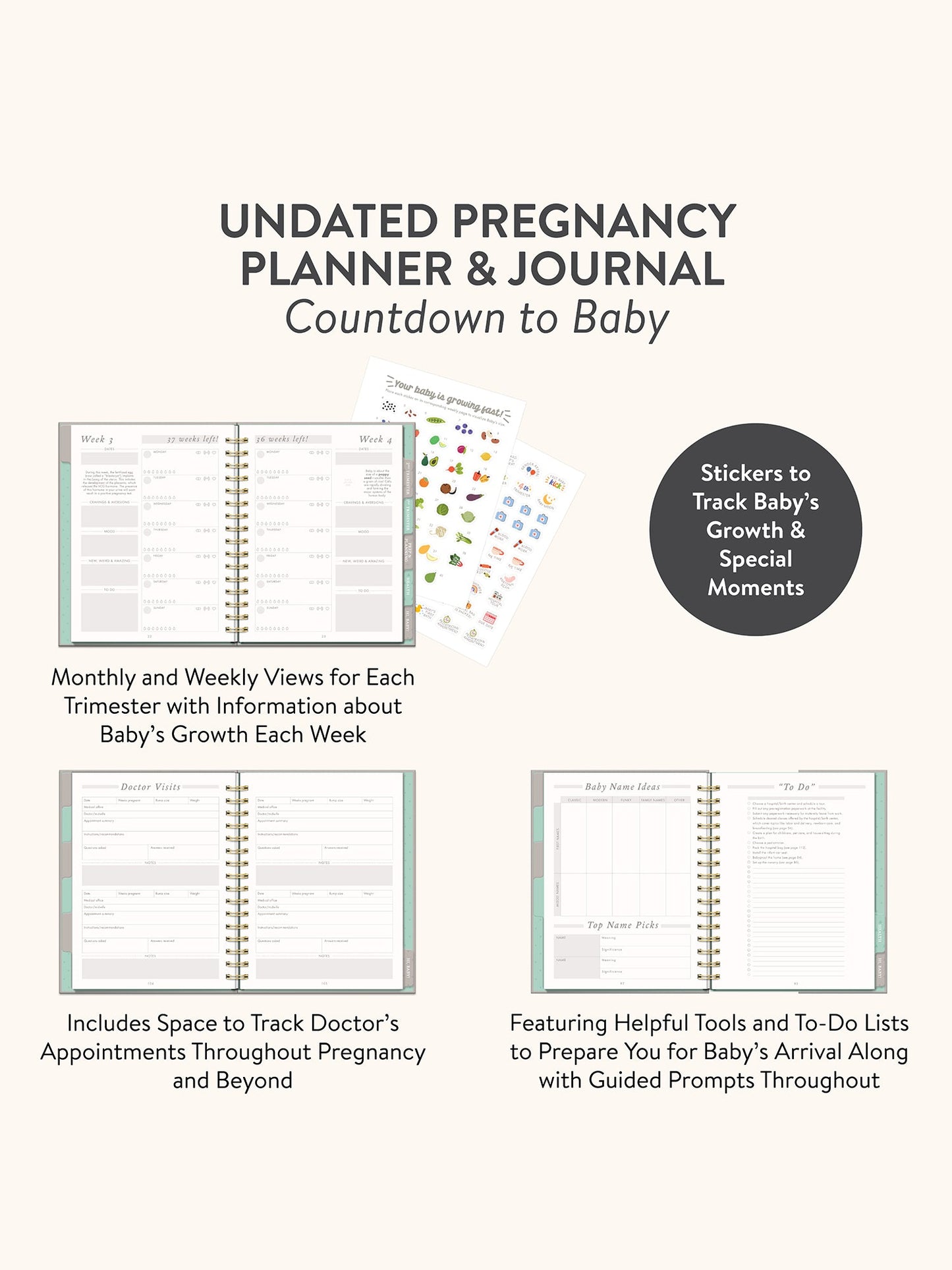 Studio Oh! "Countdown to Baby" Journal & Planner