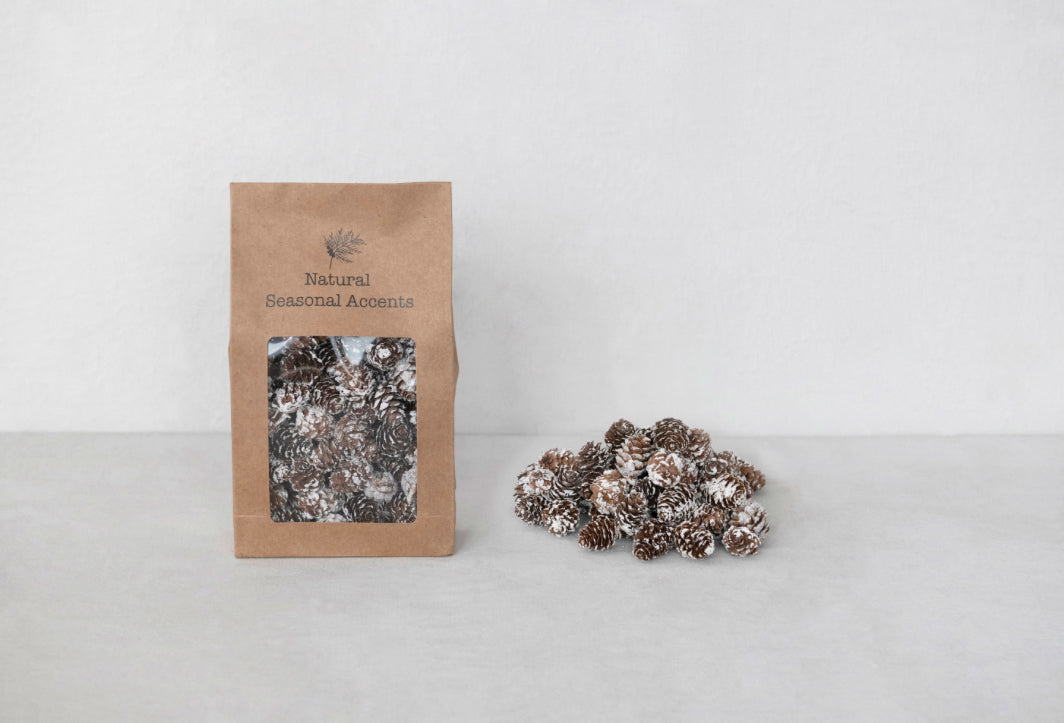 Natural Seasonal Accents- Tiny Dried Pinecones