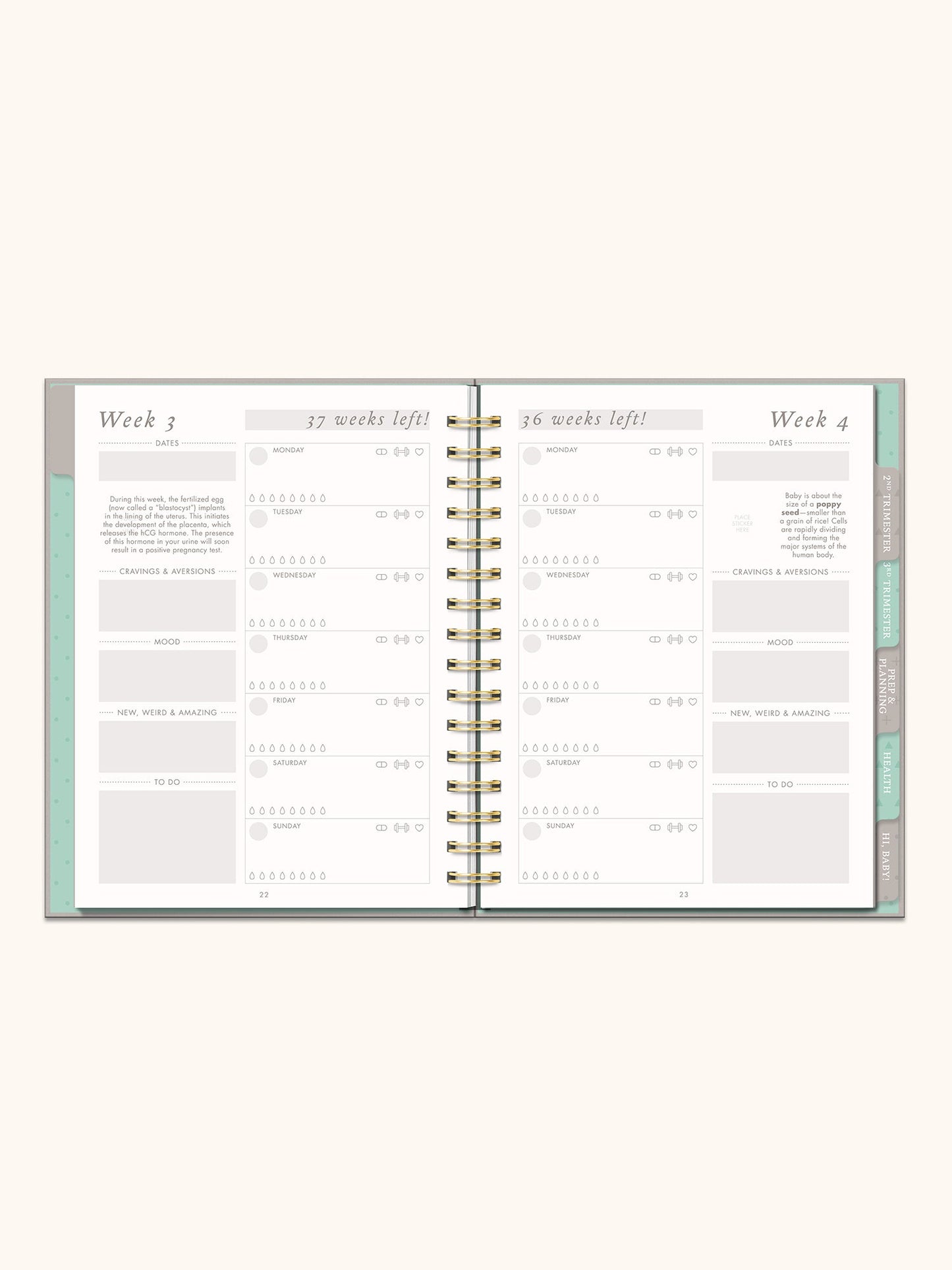 Studio Oh! "Countdown to Baby" Journal & Planner