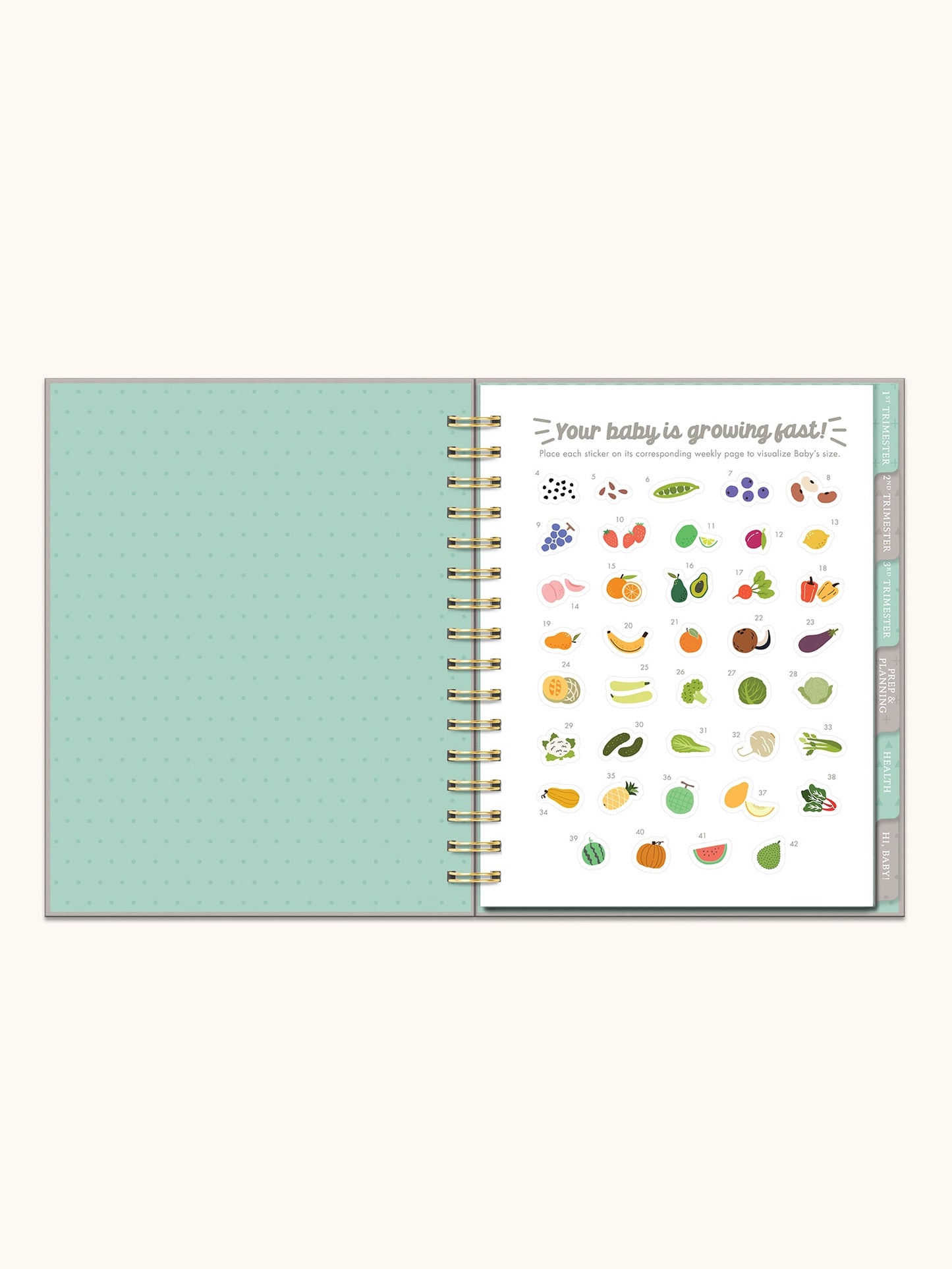 Studio Oh! "Countdown to Baby" Journal & Planner