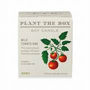 Kobo Candles Wild Tomato Vine Plant the Box Candle
