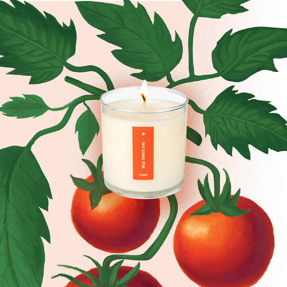 Kobo Candles Wild Tomato Vine Plant the Box Candle