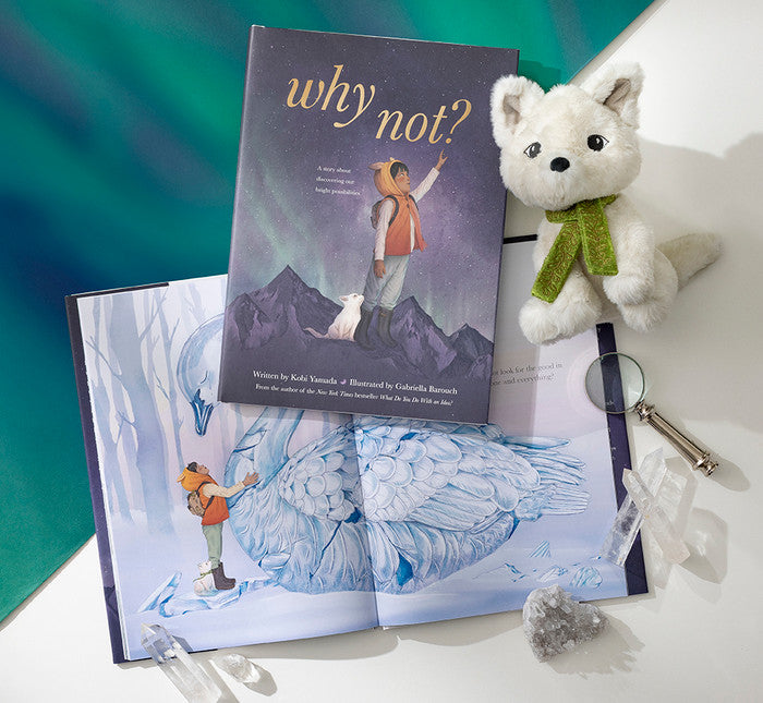 Compendium "Why Not?- A Story about Discovering Our Bright Possibilities" Book
