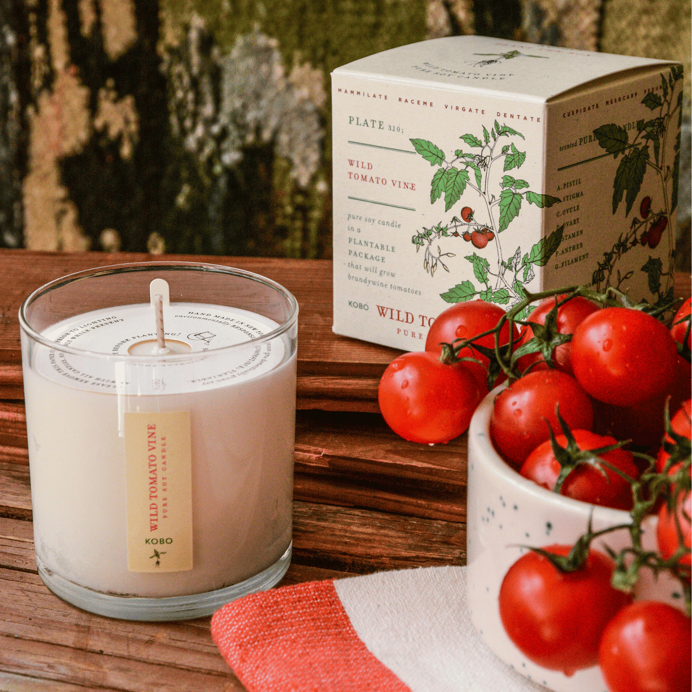 Kobo Candles Wild Tomato Vine Plant the Box Candle