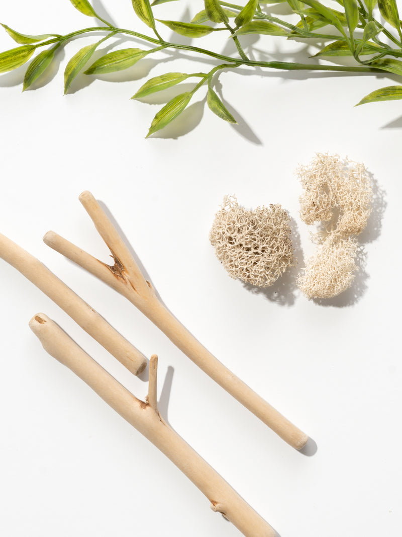 Pura Refill-"Homesick" -Beach Cottage