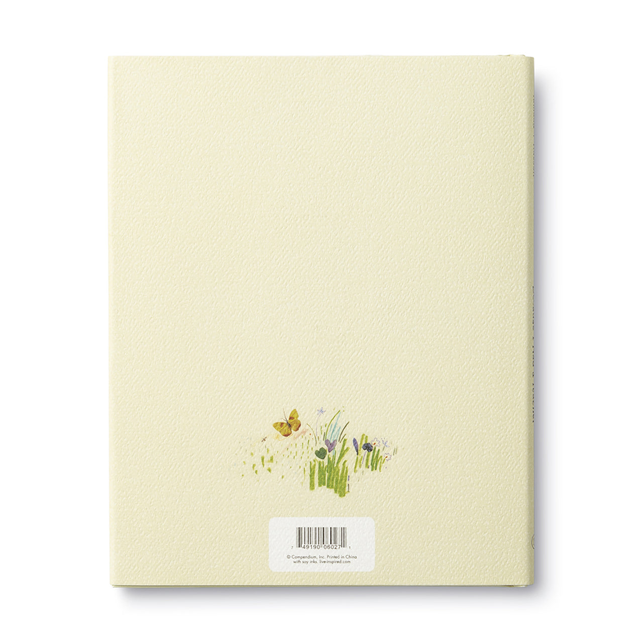 "Because I Had a Teacher" Book