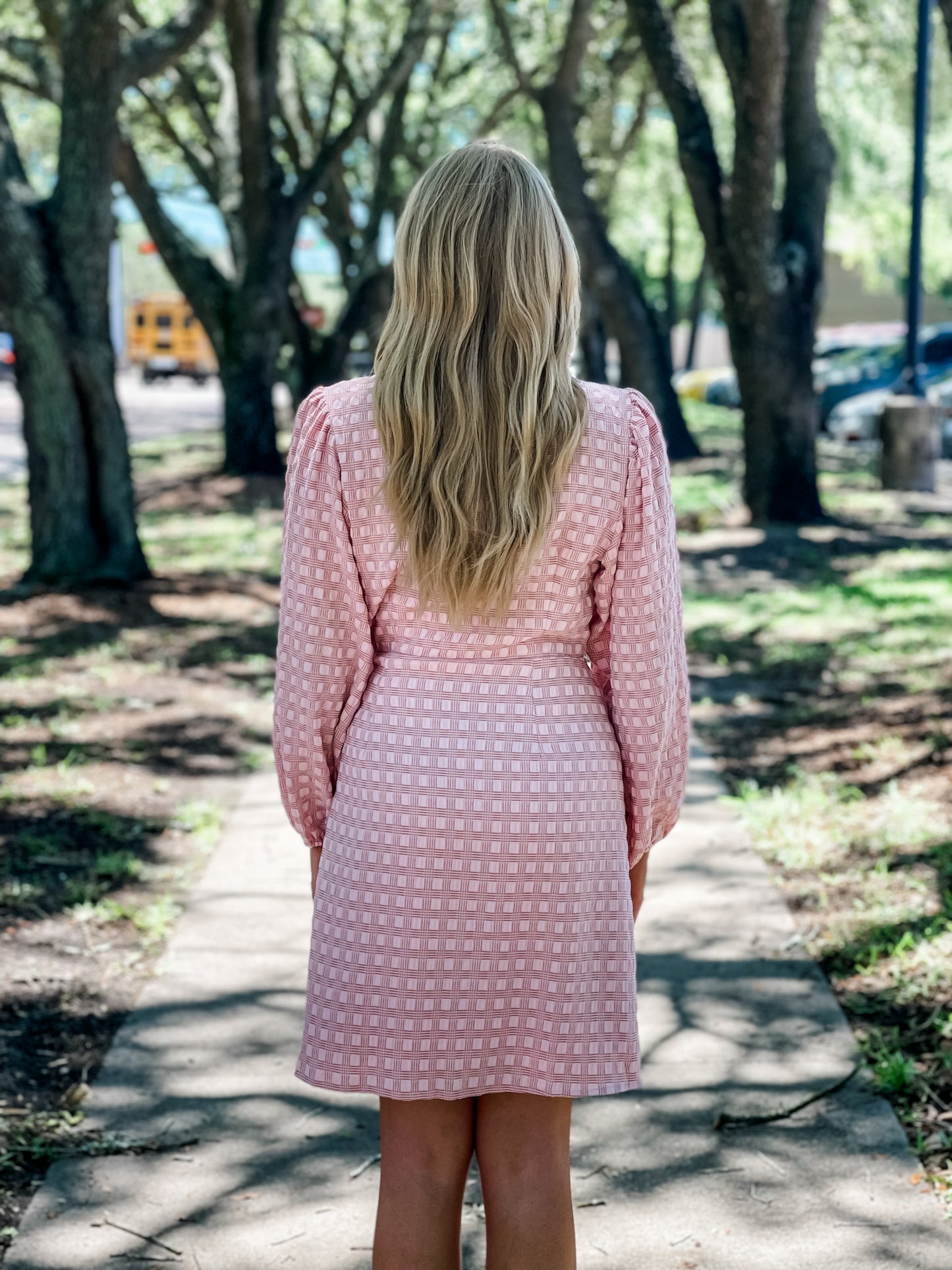 FRNCH "Acela" Dress-Pale Rose
