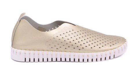 Ilse Jacobsen 3576 Tulip-Platin