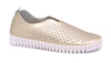 Ilse Jacobsen 3576 Tulip-Platin
