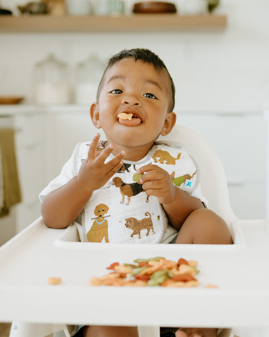 Little Unicorn Cotton Muslin Classic Bib 3 Pack - Woof