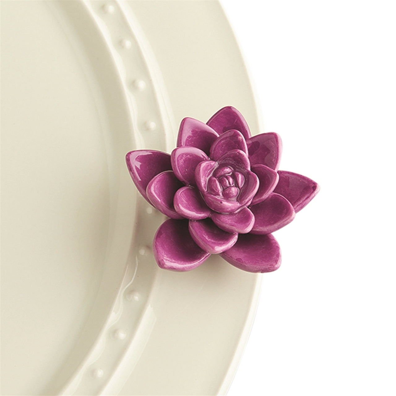 A243 Nora Fleming Get Growing (succulent)