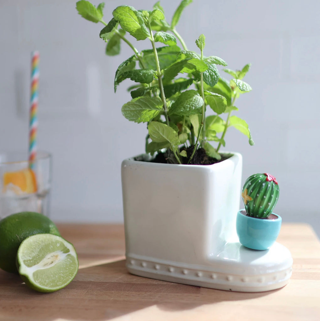 A266 Nora Fleming "Can't Touch This" Mini- Cactus