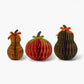 Rifle Paper Co. "Harvest" Honeycomb Gourd Decor