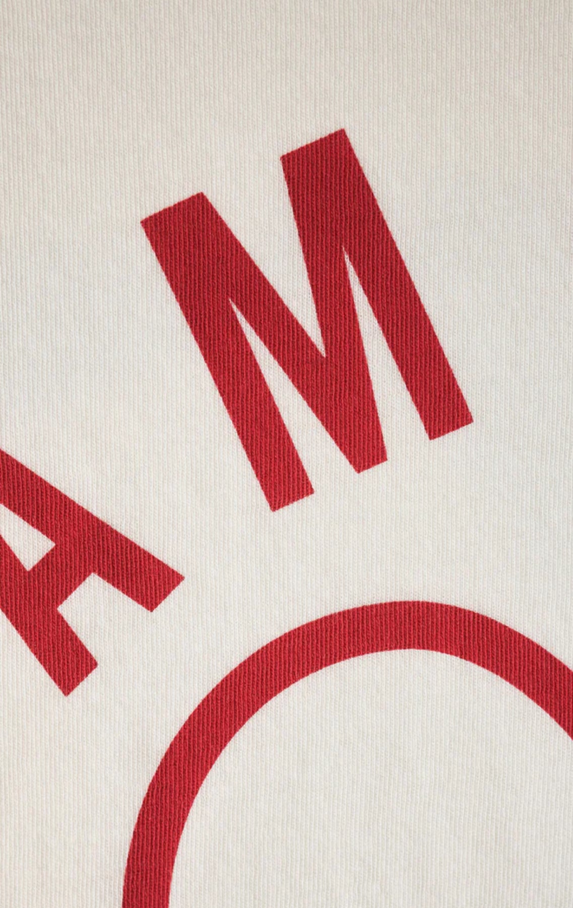 Z Supply Amour Tourist Tee-Sea Salt