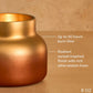Capri Blue "Pumpkin Dulce" Tuscan Radiance Petite Candle-8 oz