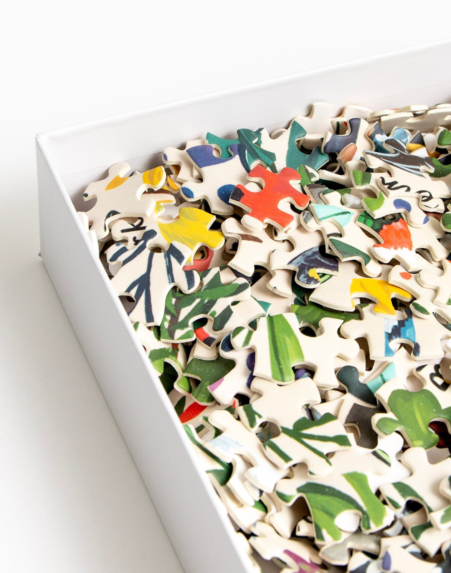 1 Canoe 2 "Feathered Friends" 1000 Piece Bird Puzzle