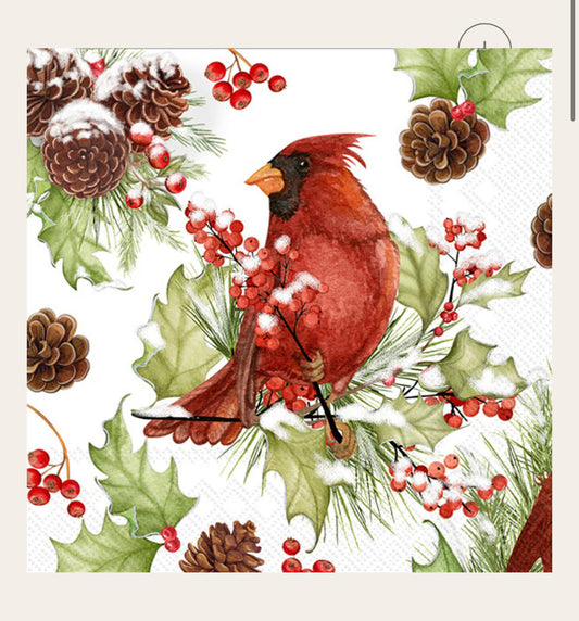 Cocktail Napkins-Cardinals in Holly 20ct.