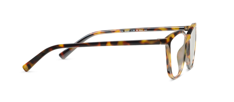 Peepers "Bengal"-Tortoise