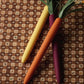 Rifle Paper Co. Bunch of Tricolor Carrot Pens