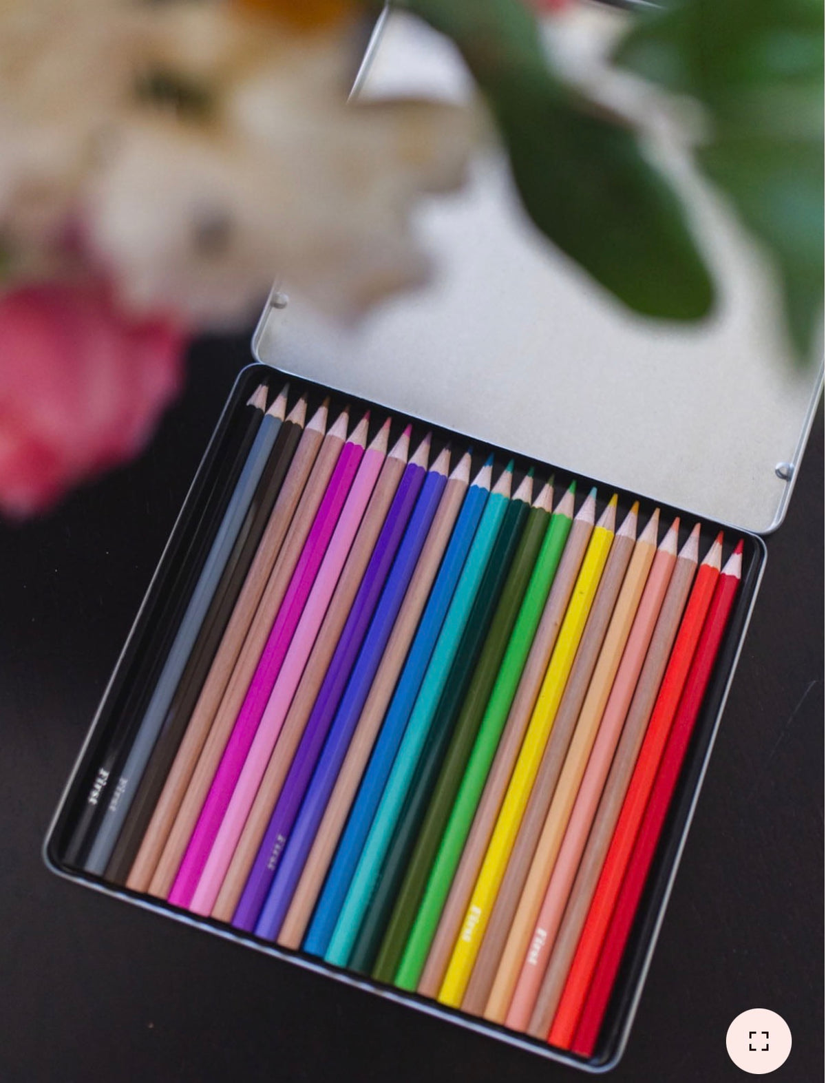 Pippi Post Really Super Nice Colored Pencil Set