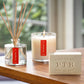 Kobo Candles “Wild Tomato Vine” Plant the Box Trio Gift Set