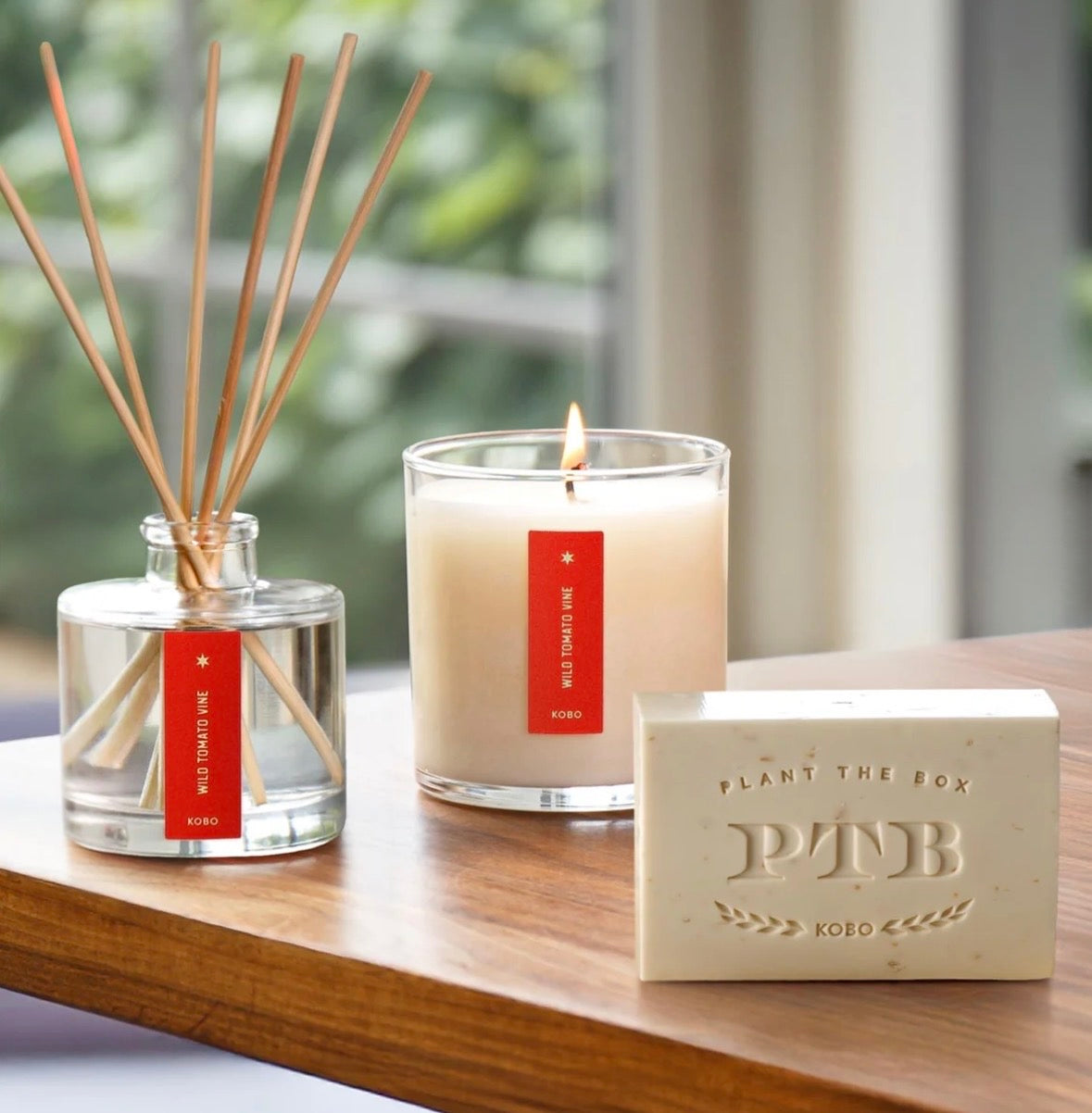 Kobo Candles “Wild Tomato Vine” Plant the Box Trio Gift Set