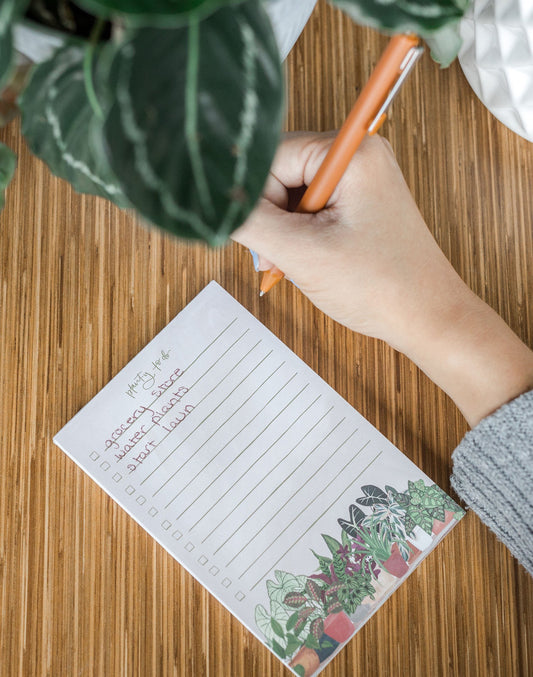 1 Canoe 2 "Planty To Do" Houseplants Notepad