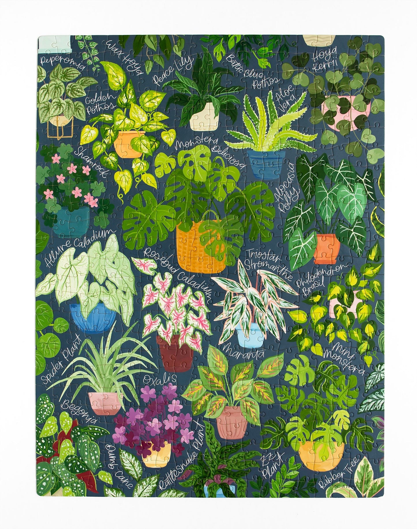 1 Canoe 2 "Houseplant Jungle" 500 Piece Puzzle