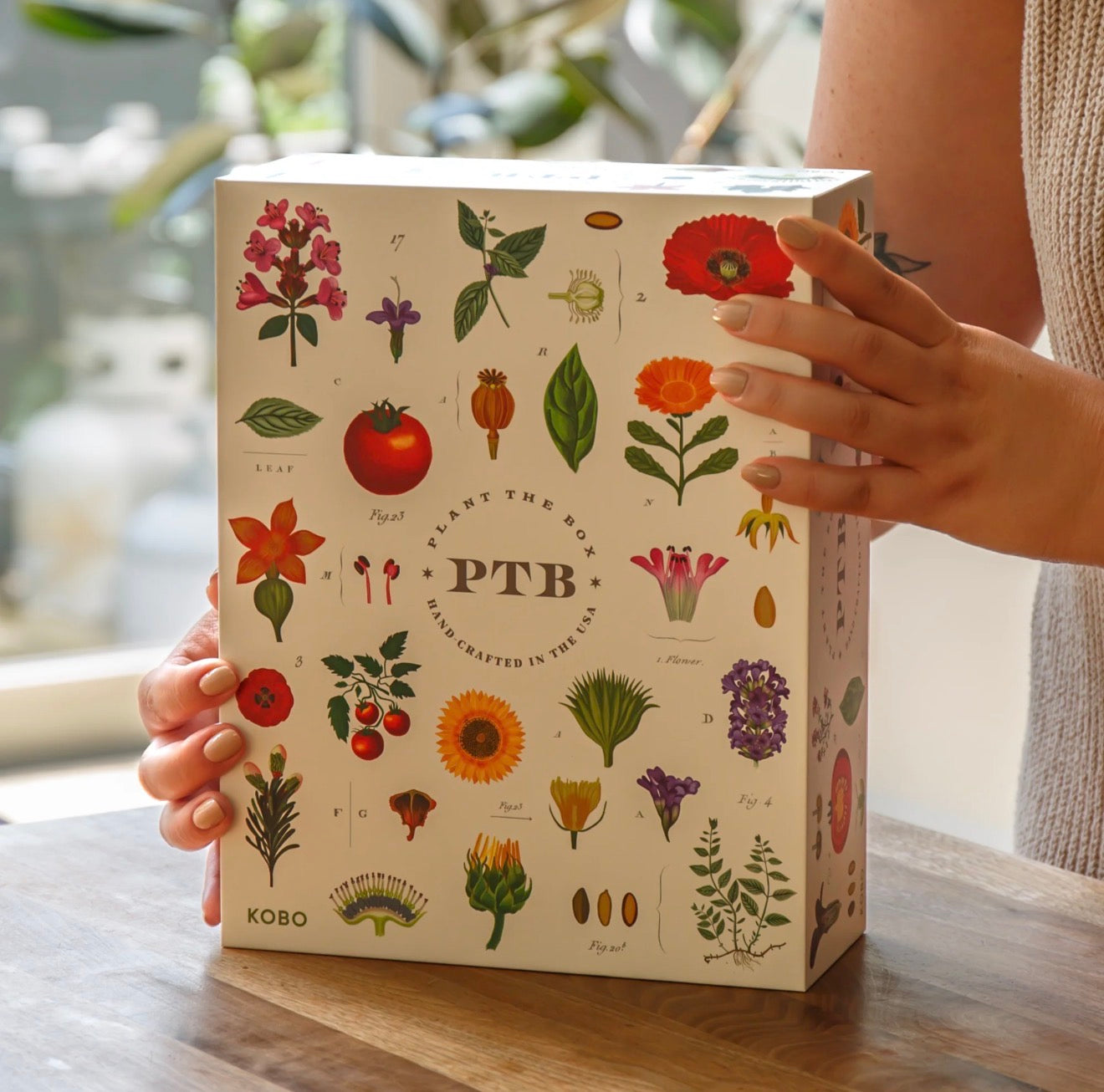 Kobo Candles “Wild Tomato Vine” Plant the Box Trio Gift Set