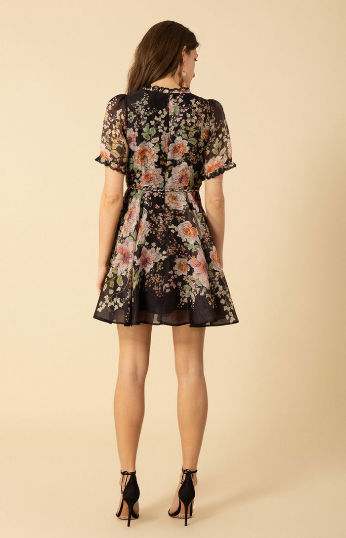 Hale Bob Haley Organza Dress Short Dress-Black