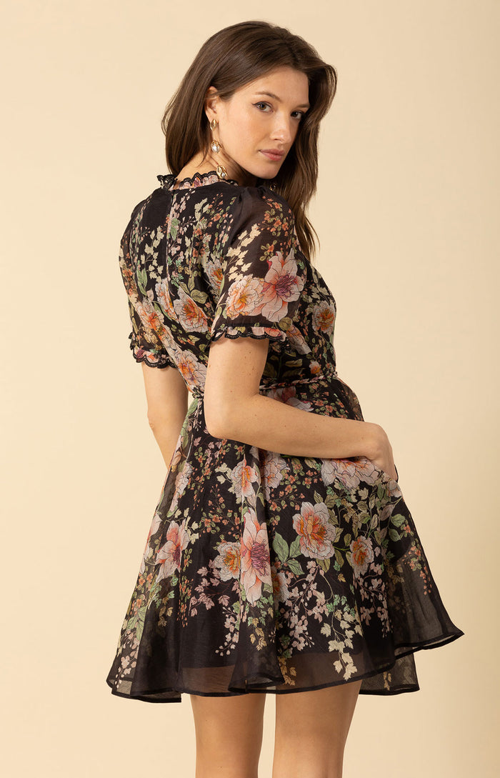 Hale Bob Haley Organza Dress Short Dress-Black