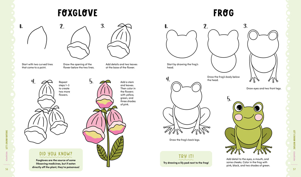 KindKids "Let's Draw Nature" Drawing Lesson Book