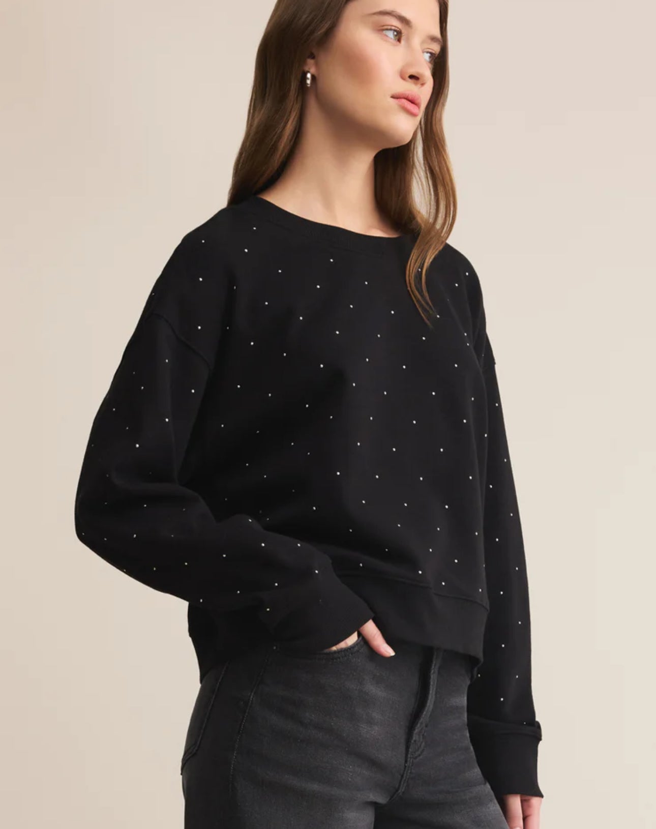 Z Supply Sparkle Crew Neck Sweatshirt-Black