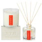 Kobo Candles “Wild Tomato Vine” Plant the Box Trio Gift Set