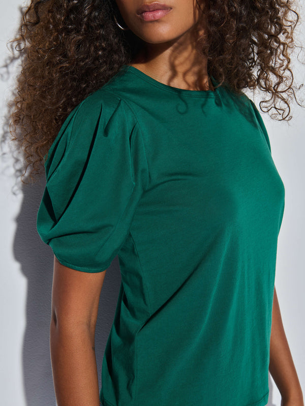 Nation LTD "Alicia"  Top-Forest