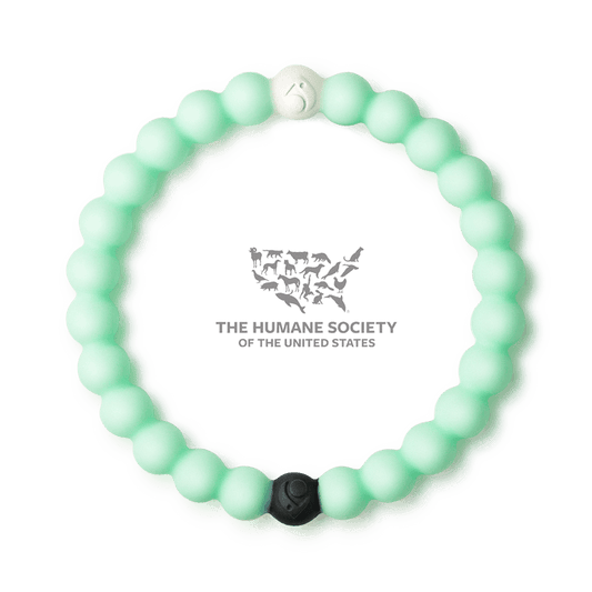 Lokai Bracelet Animal Rescue