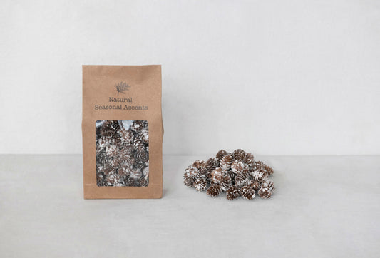 Natural Seasonal Accents- Tiny Dried Pinecones