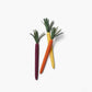 Rifle Paper Co. Bunch of Tricolor Carrot Pens