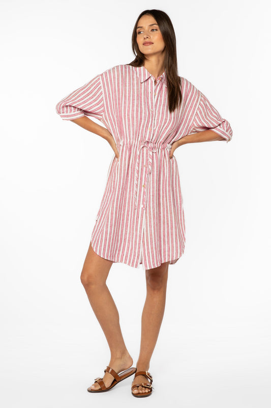 Velvet Heart “Jenneva” Elbow Puff Sleeve Dress - Pink Cacti Stripe