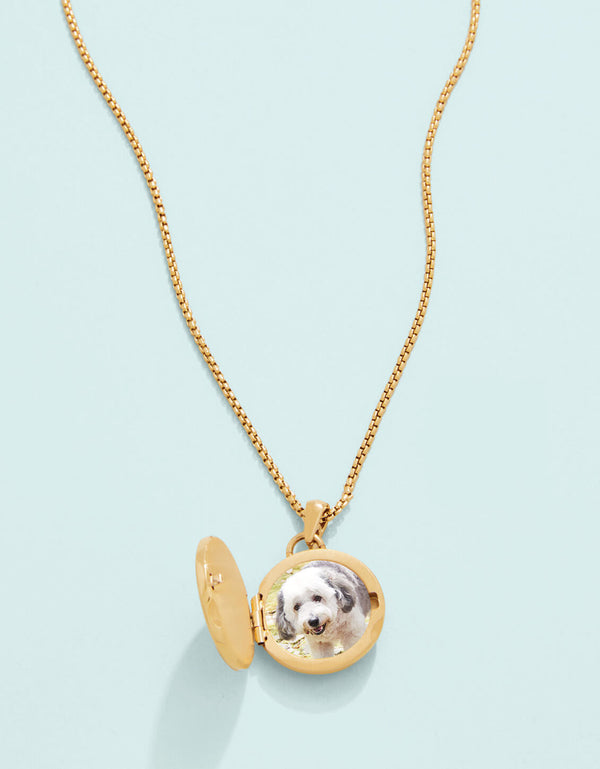 Spartina 449 SP Petite Photo Locket Starburst Necklace 18"-Gold/Crystal