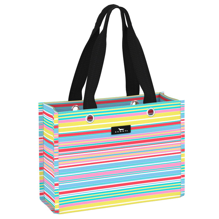 Scout Bags "Ripe Stripe" Tiny Package Gift Bag