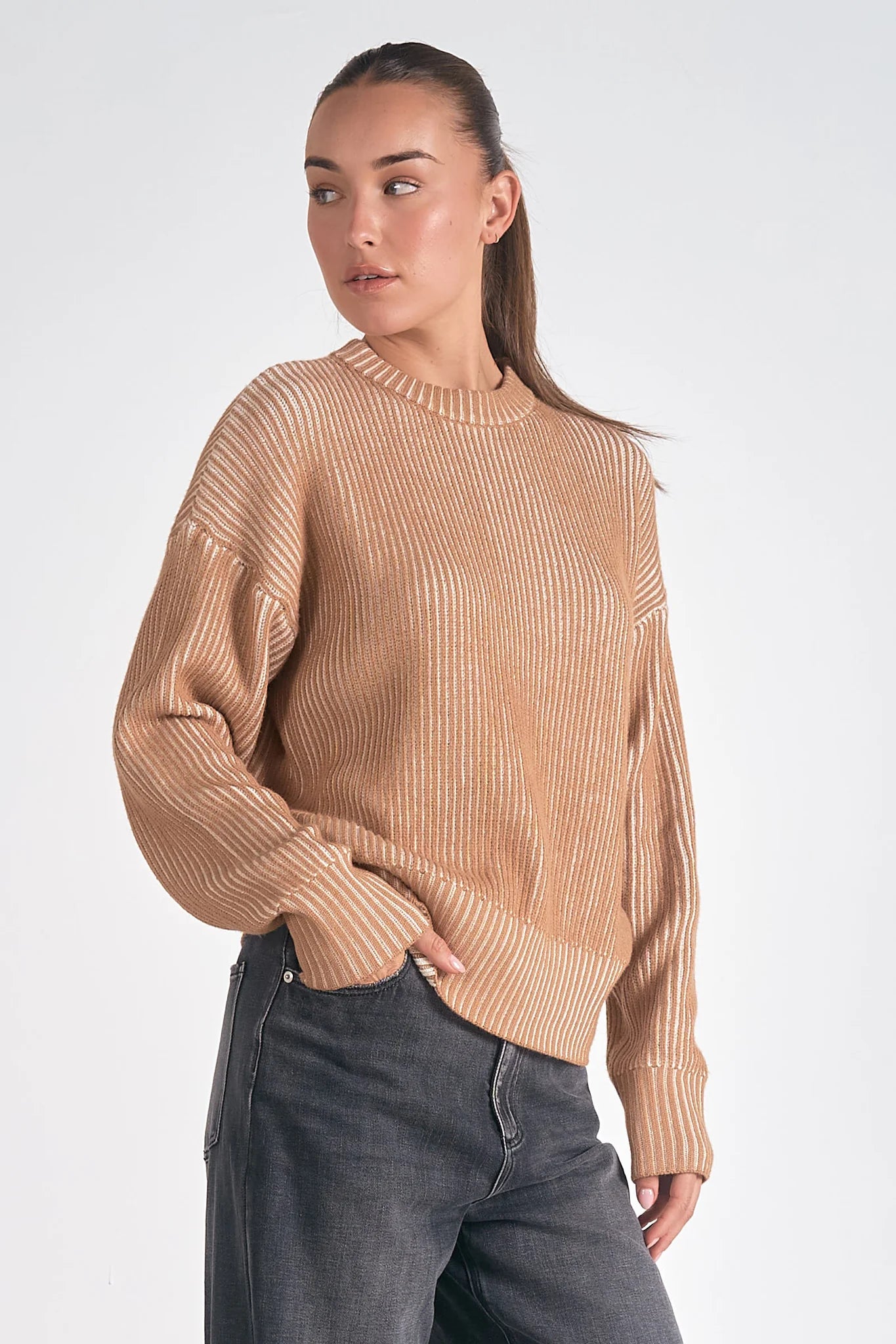 Elan “Kendra” Ombre Stripe Sweater - Tan/White