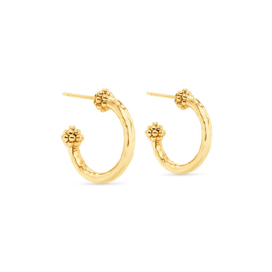 Capucine de Wulf “Berry Slice” Small Hoop Earrings-Gold