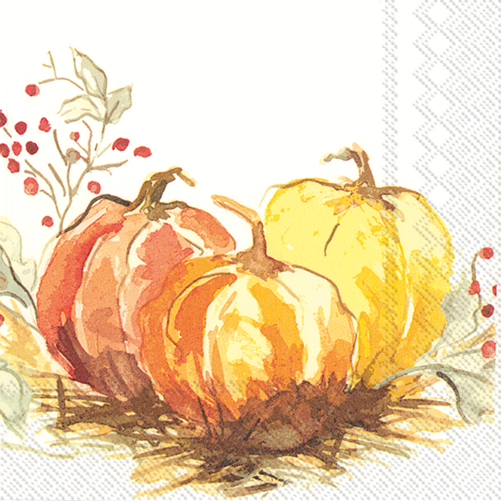 Boston International "Painted Pumpkin" Cocktail Napkins 20ct.